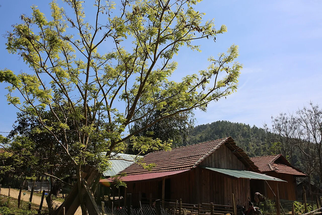 Pleiku – Mang Den - Buon Ma Thuot