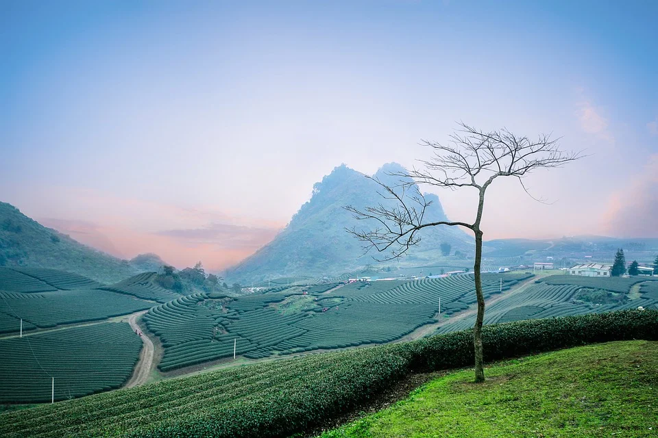 Ha Noi → Moc Chau → Mai Chau → Hoa Binh → Loi Tuoi Farm → Mu Nau Farm → Cau kinh Bach Long